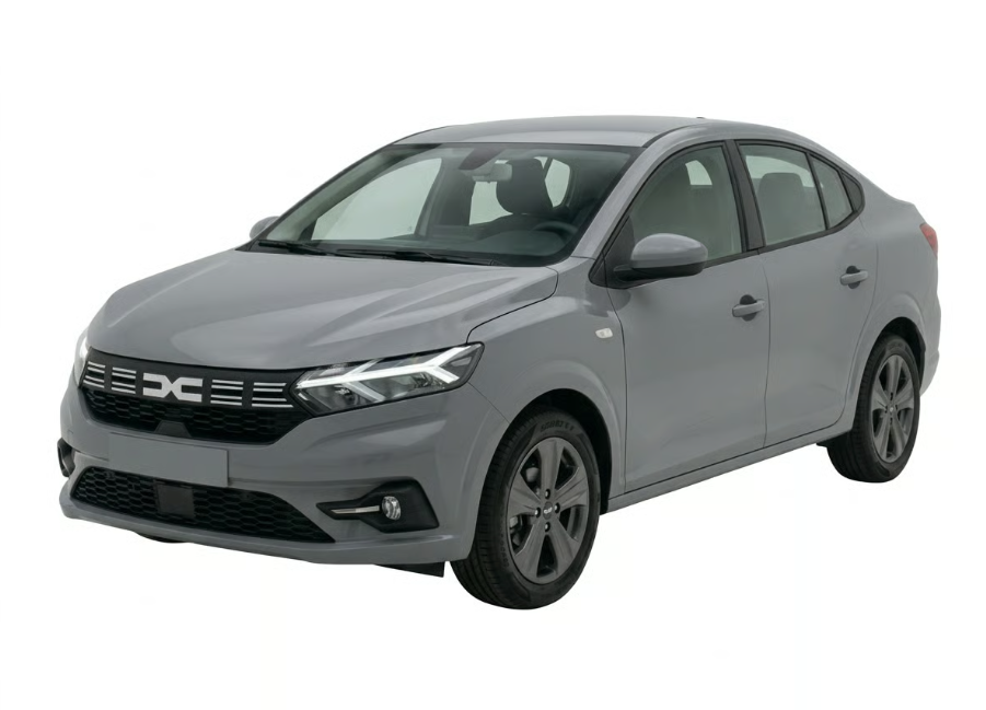 Dacia Logan gris nardo manuel